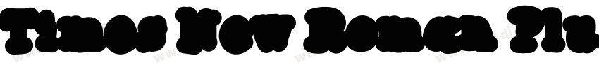 Times New Roman Plus字体转换